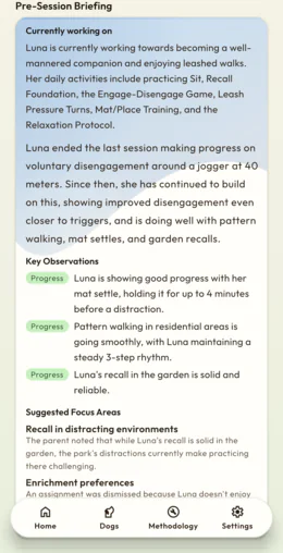 A pre-session briefing for Luna: what she is working on, where her last session ended, and what Cape noticed