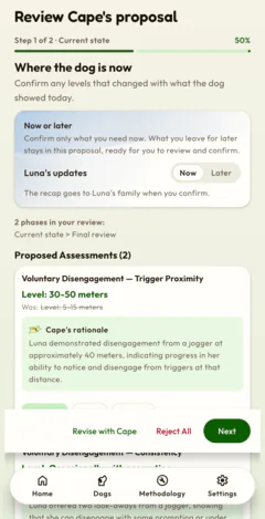 Reviewing Cape's proposal after a session: the levels that changed, and the recap the family receives once you confirm