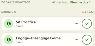 Today's practice for Max: Sit Practice and the Engage-Disengage Game in the morning, 41 minutes in all