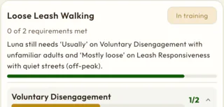 Loose Leash Walking in training: what Luna still needs on Voluntary Disengagement and Leash Responsiveness, and how far she has come
