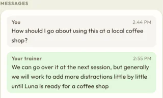 A dog parent asks on the exercise itself how to practice at a local coffee shop, and the trainer replies