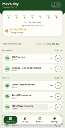 Max's day in the Capawble app: today's practice sorted into morning and lunch, with a 28 day streak